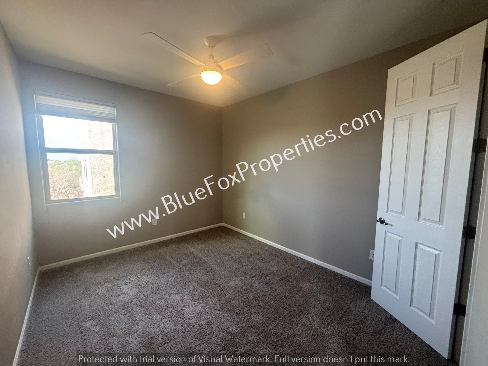 177 E Woolystar Ct property image