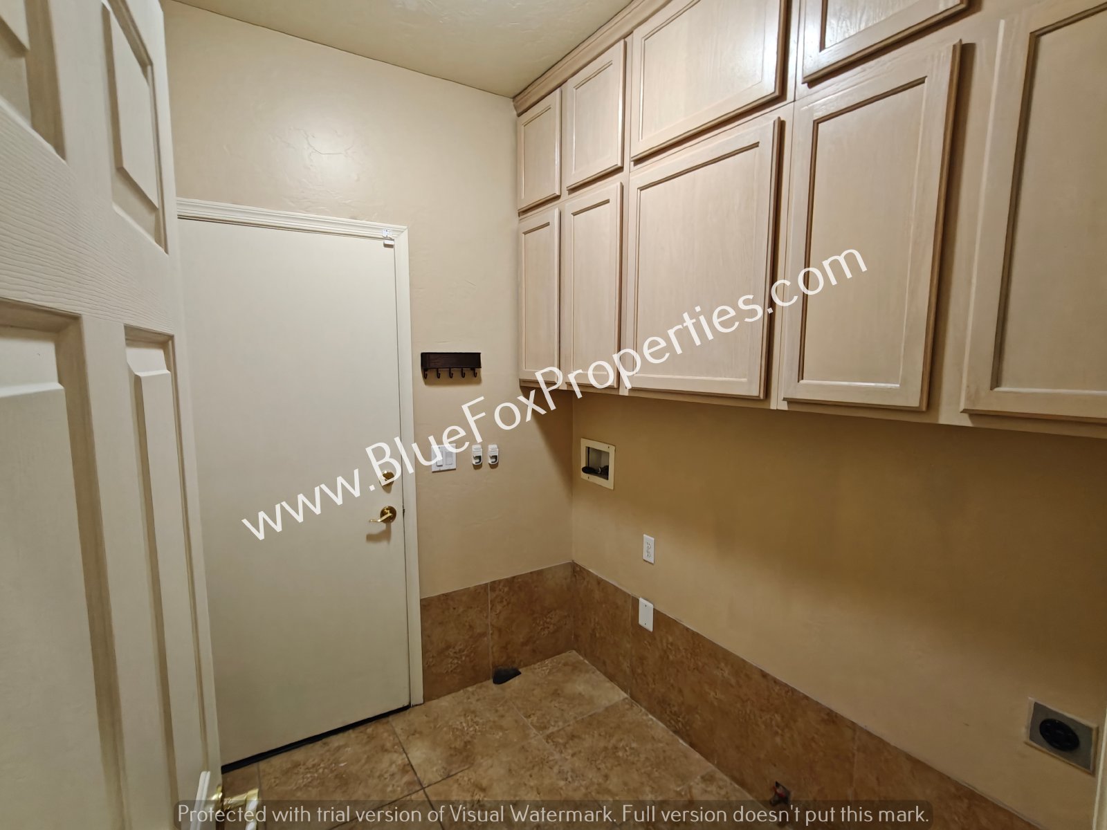 2979 W Royal Copeland Dr property image