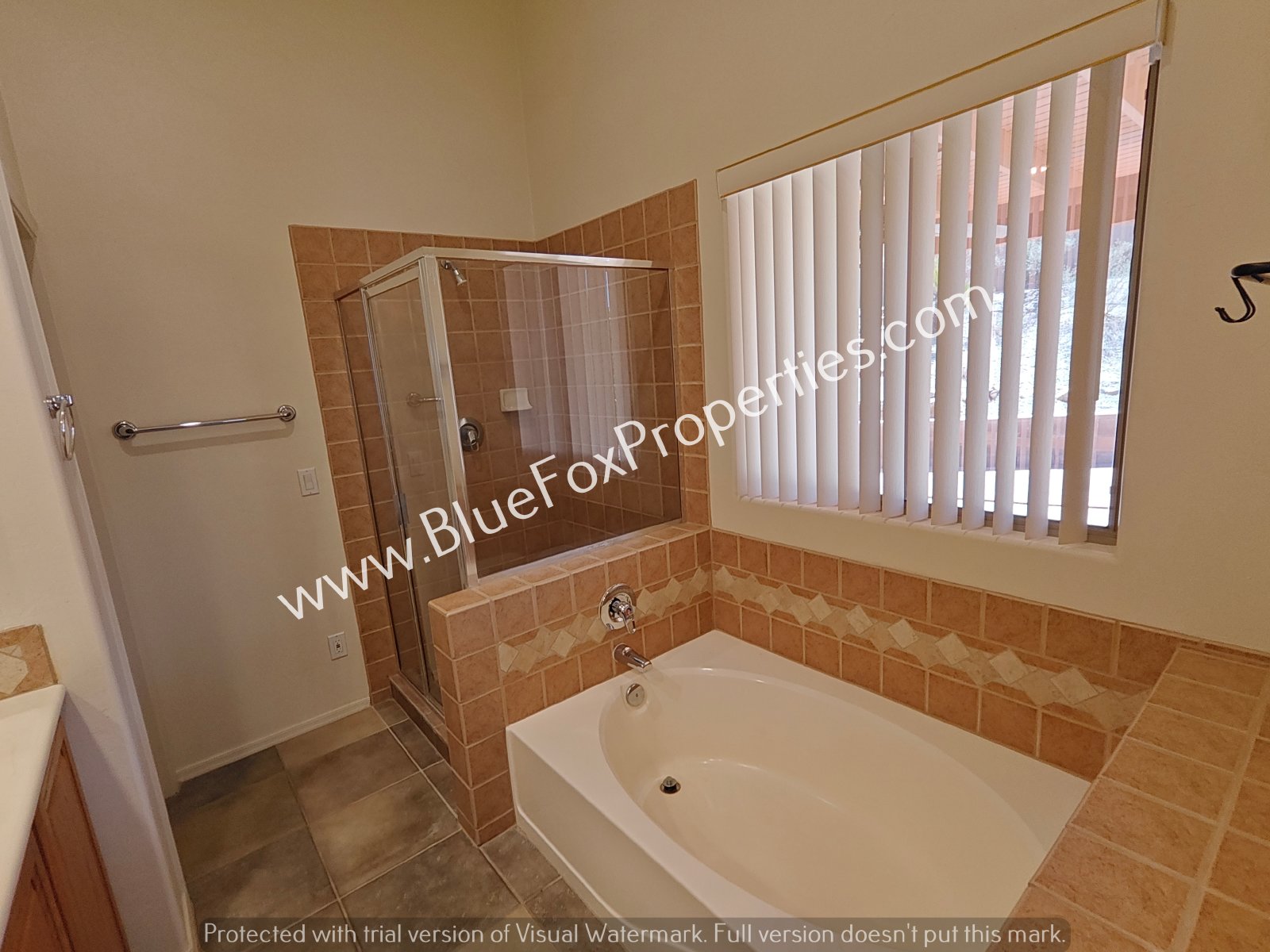 2979 W Royal Copeland Dr property image