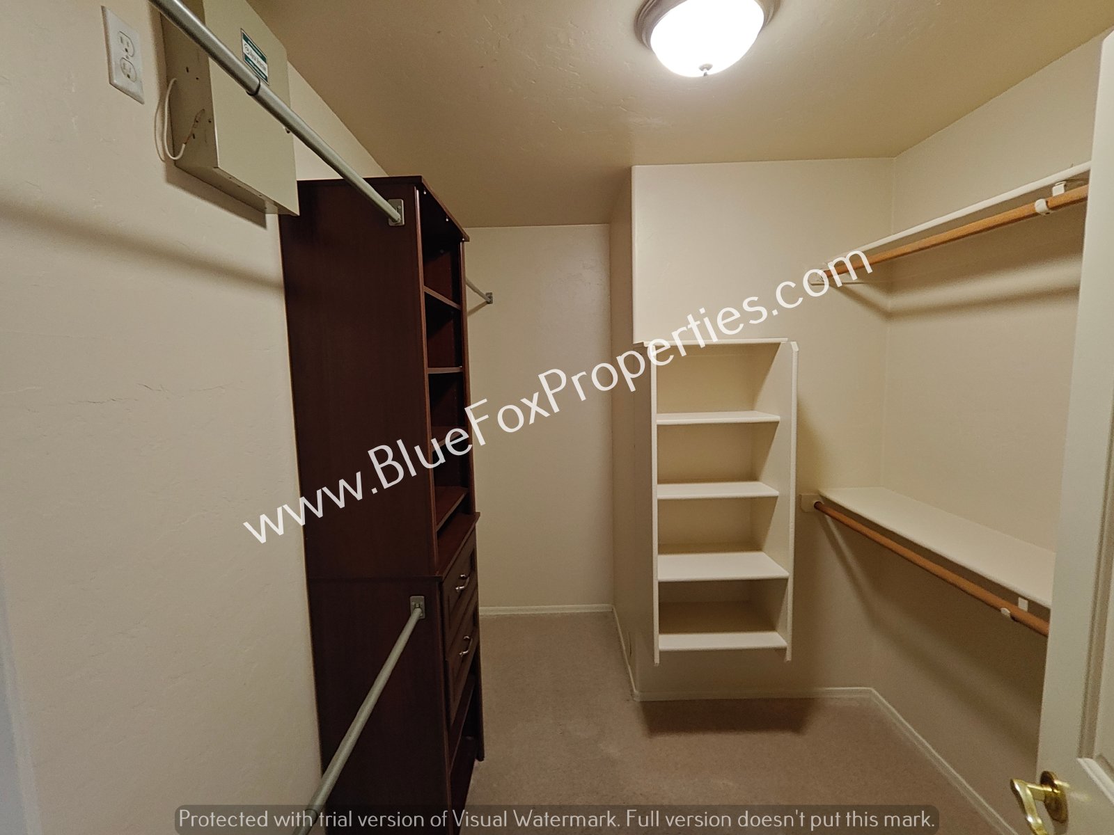 2979 W Royal Copeland Dr property image