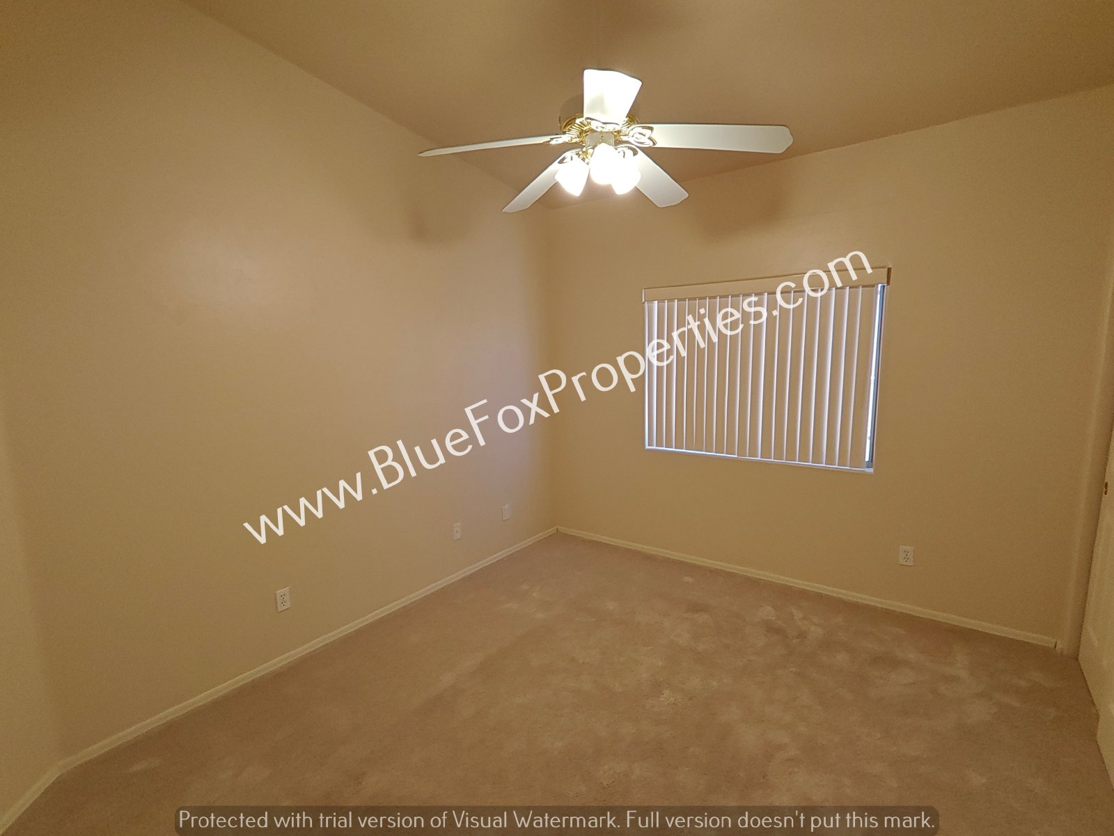 2979 W Royal Copeland Dr property image