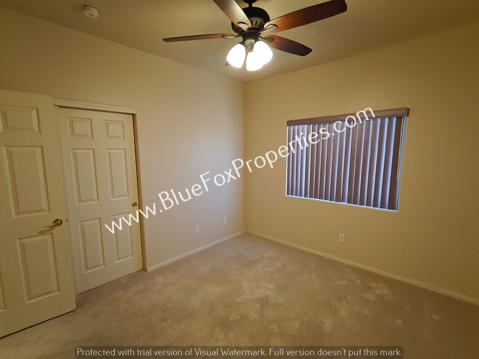 2979 W Royal Copeland Dr property image