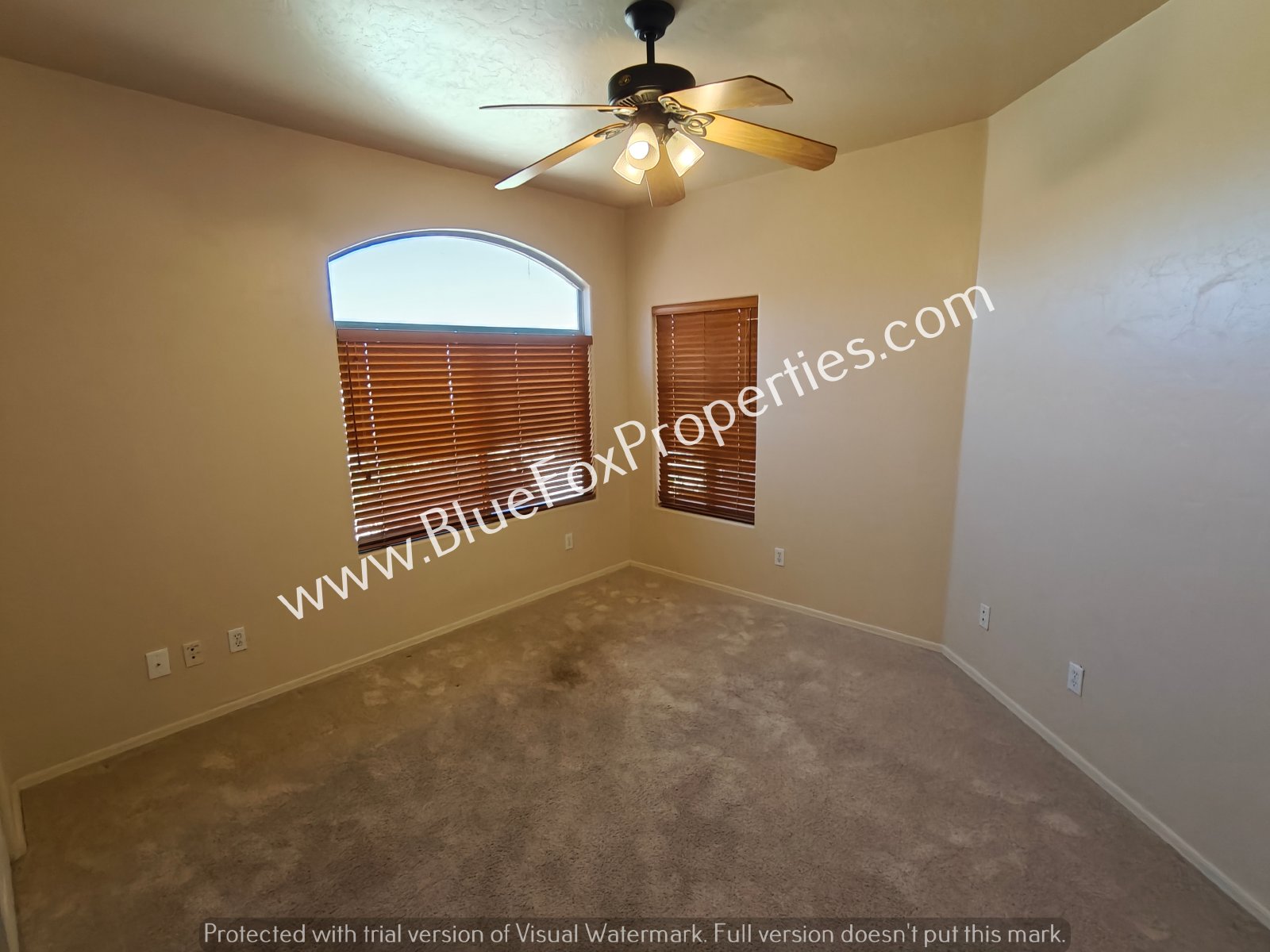 2979 W Royal Copeland Dr property image