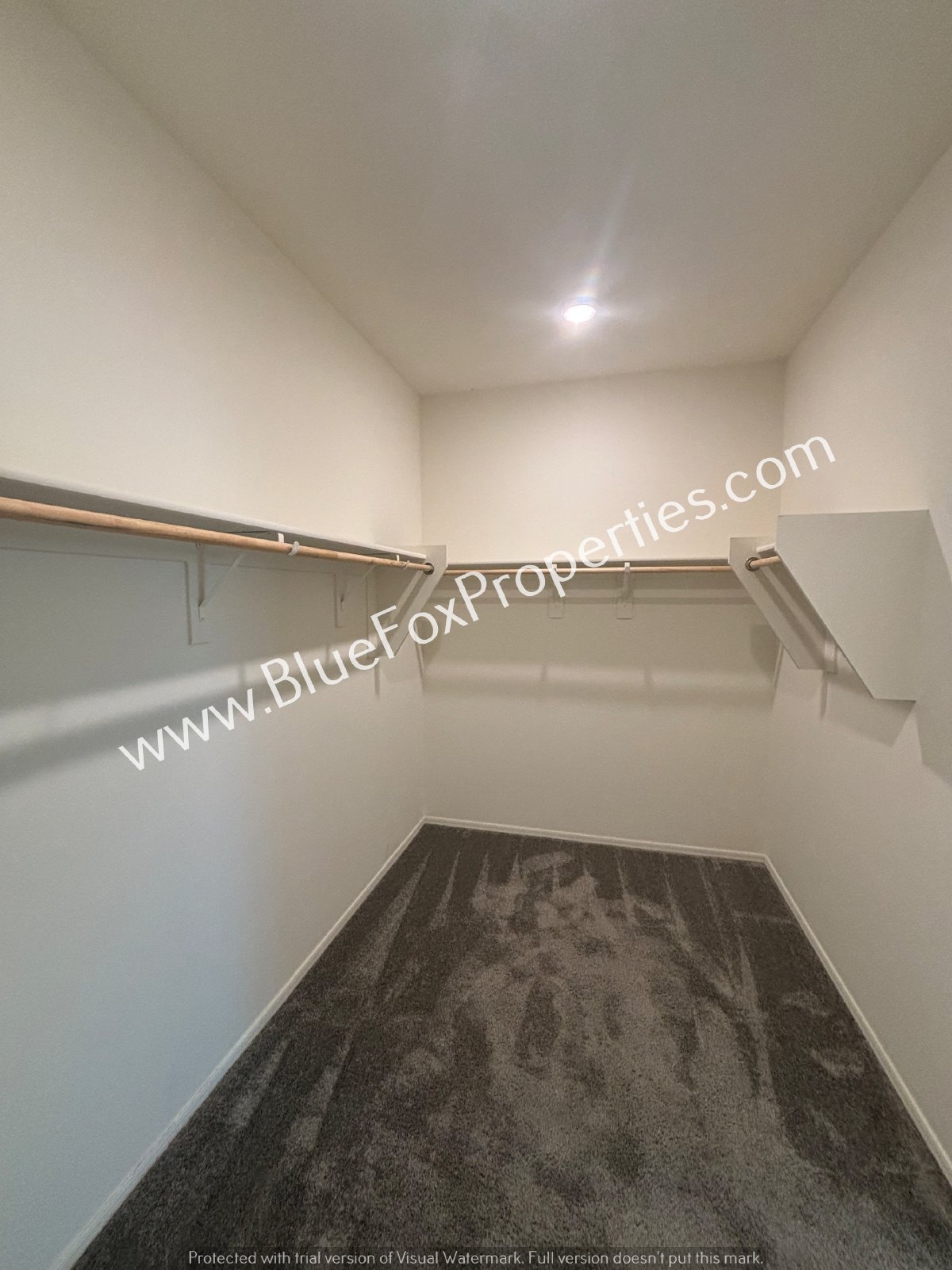 11826 N Silverscape Dr property image