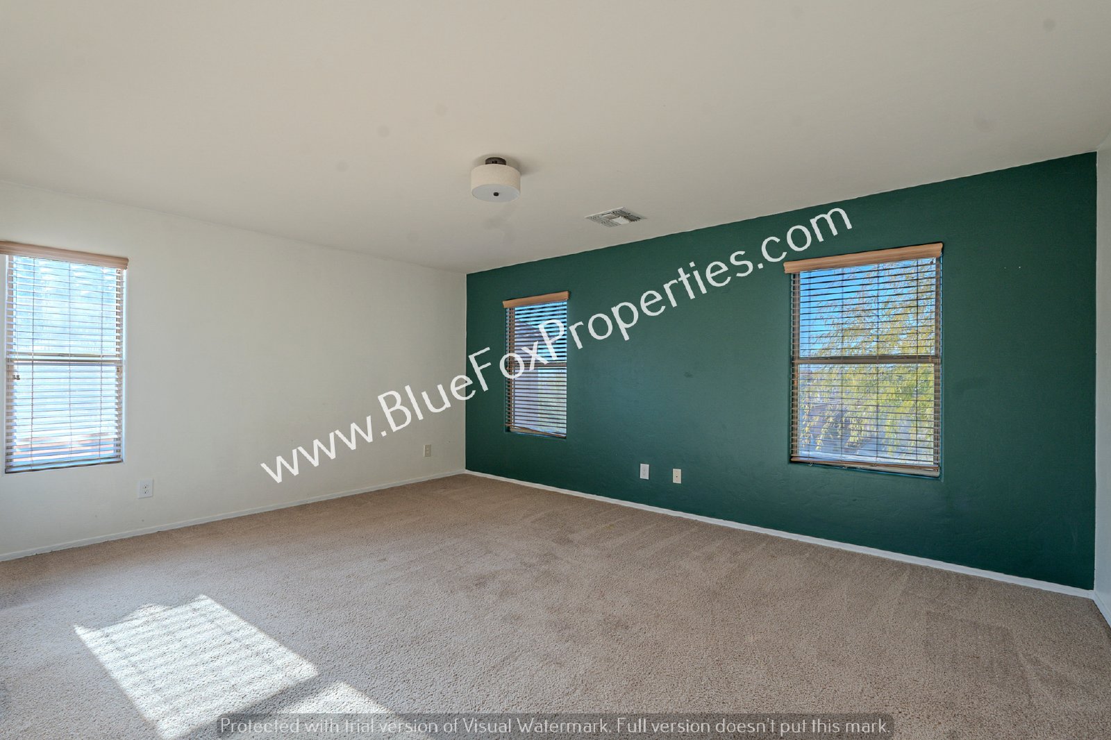 39347 S Old Arena Dr property image