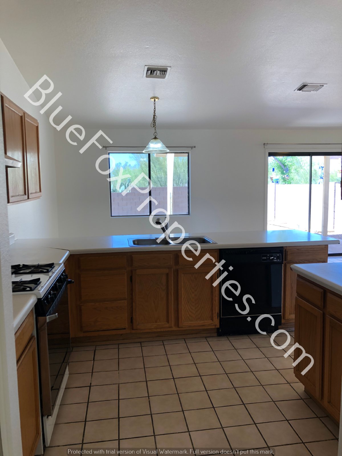 9873 N. Camino Vado property image