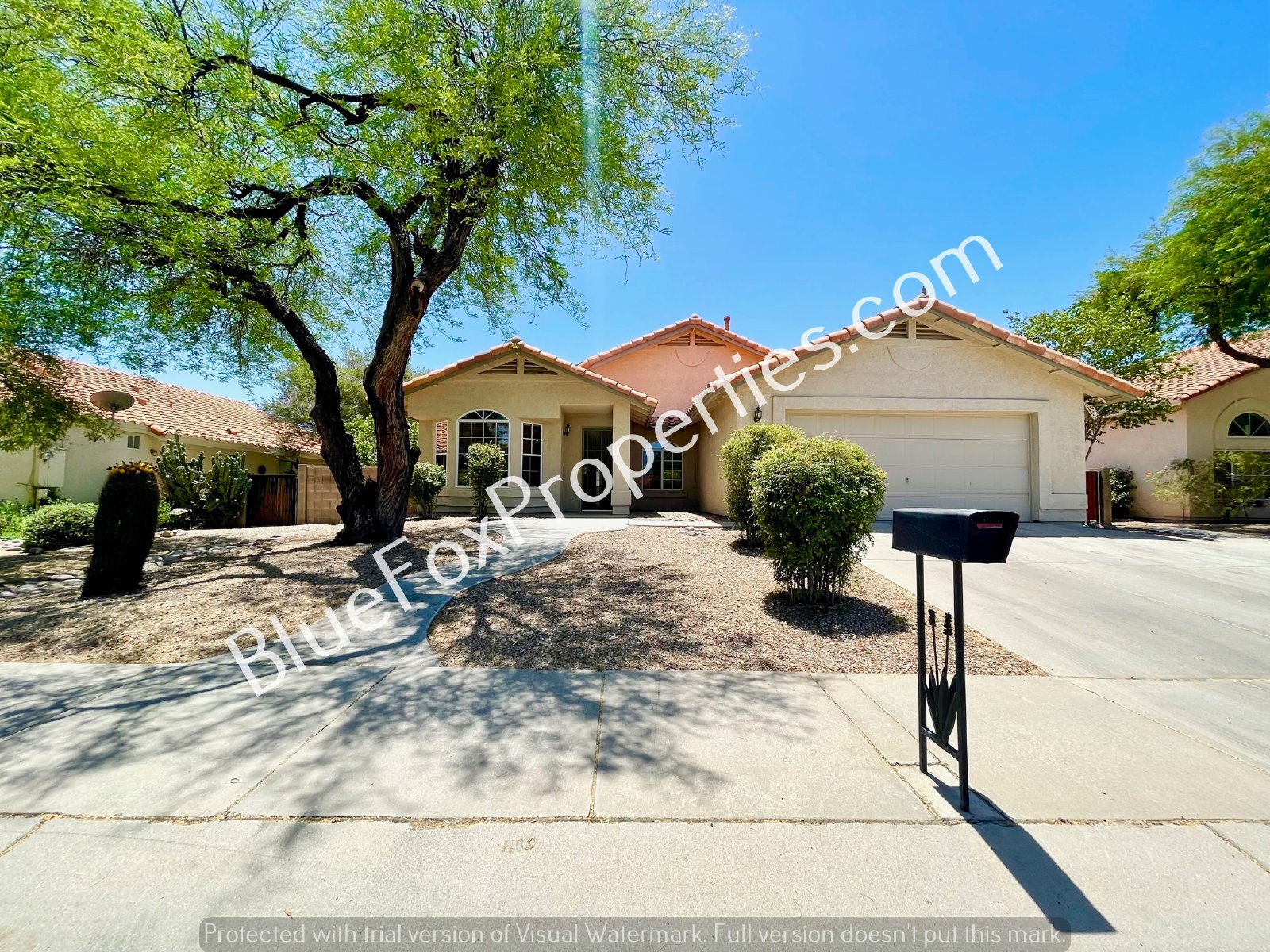 3011 W. Corte Olivia property image