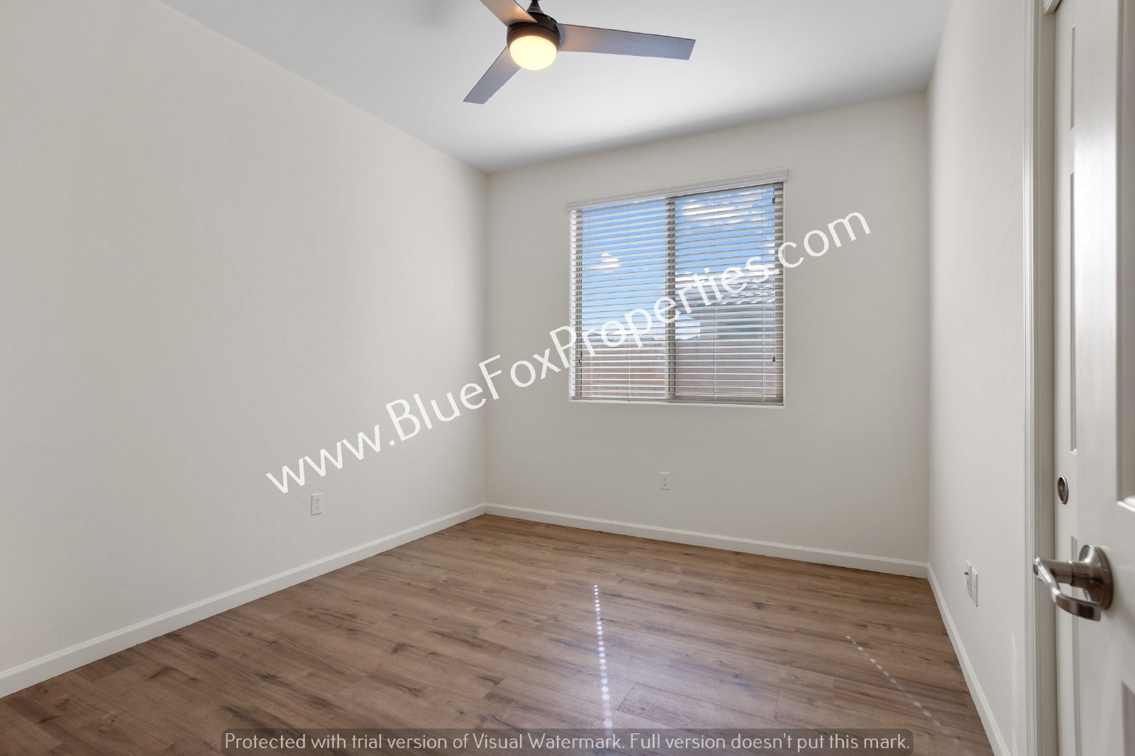11358 E Squash Blossom Loop property image
