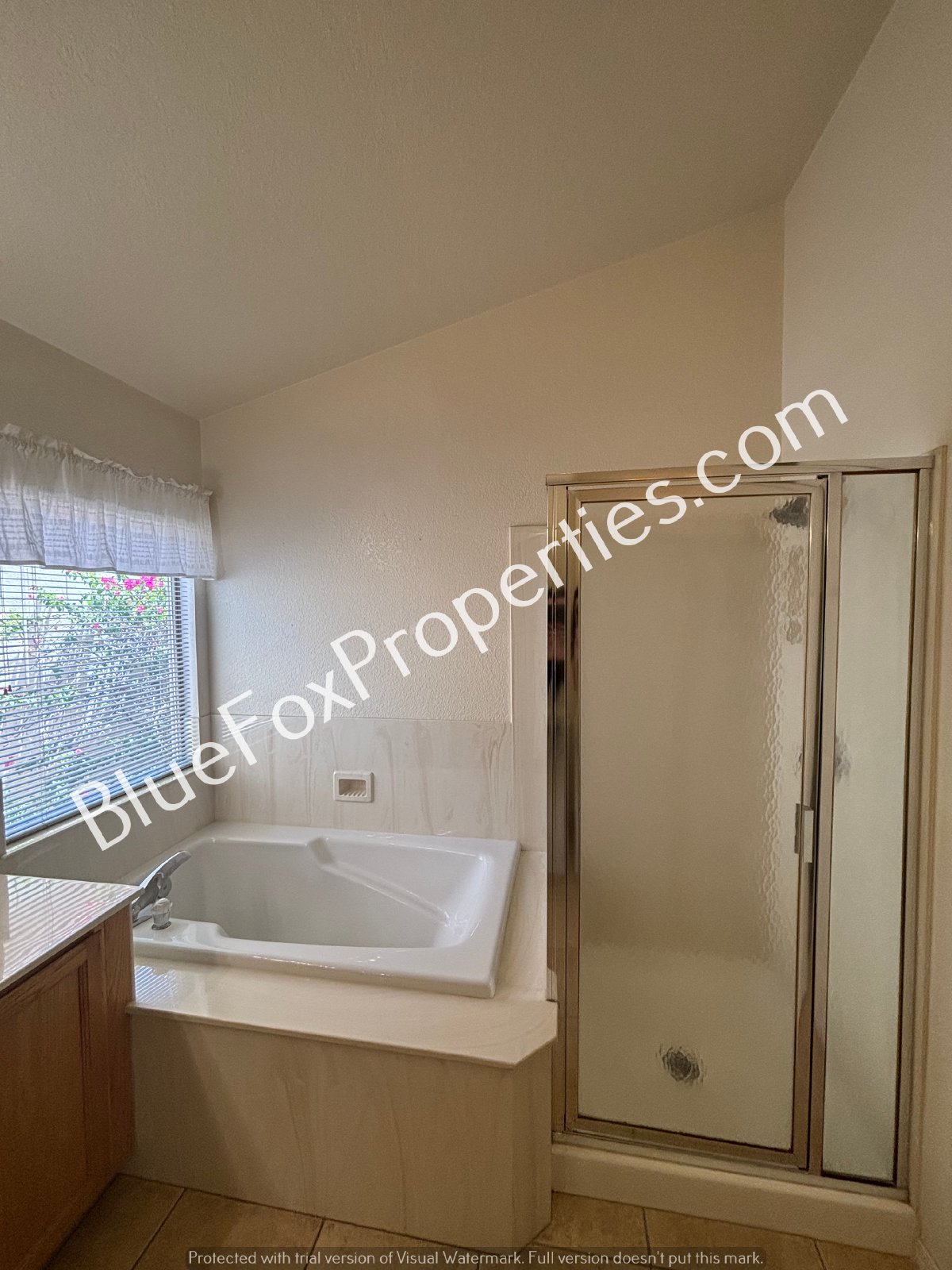 Immaculate Oro Valley 3bed 2bath Home! property image