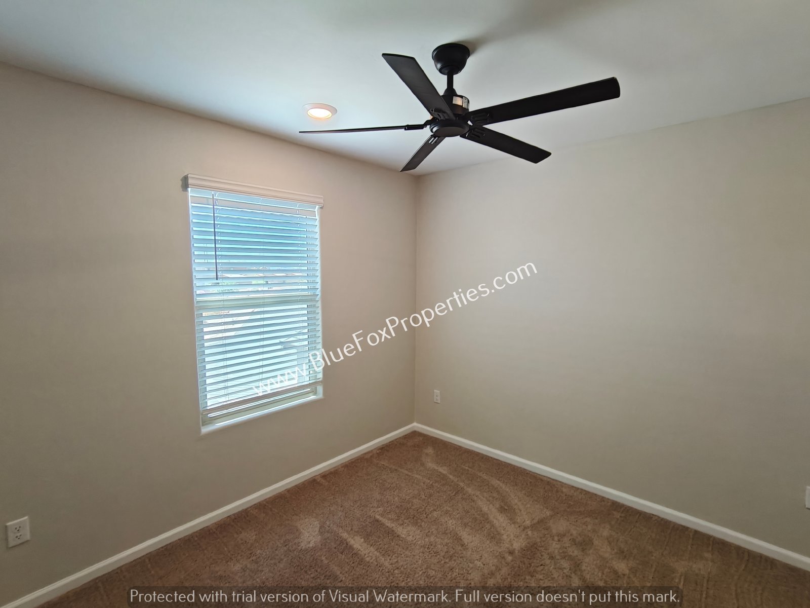 6313 S Crescent Peak Dr property image