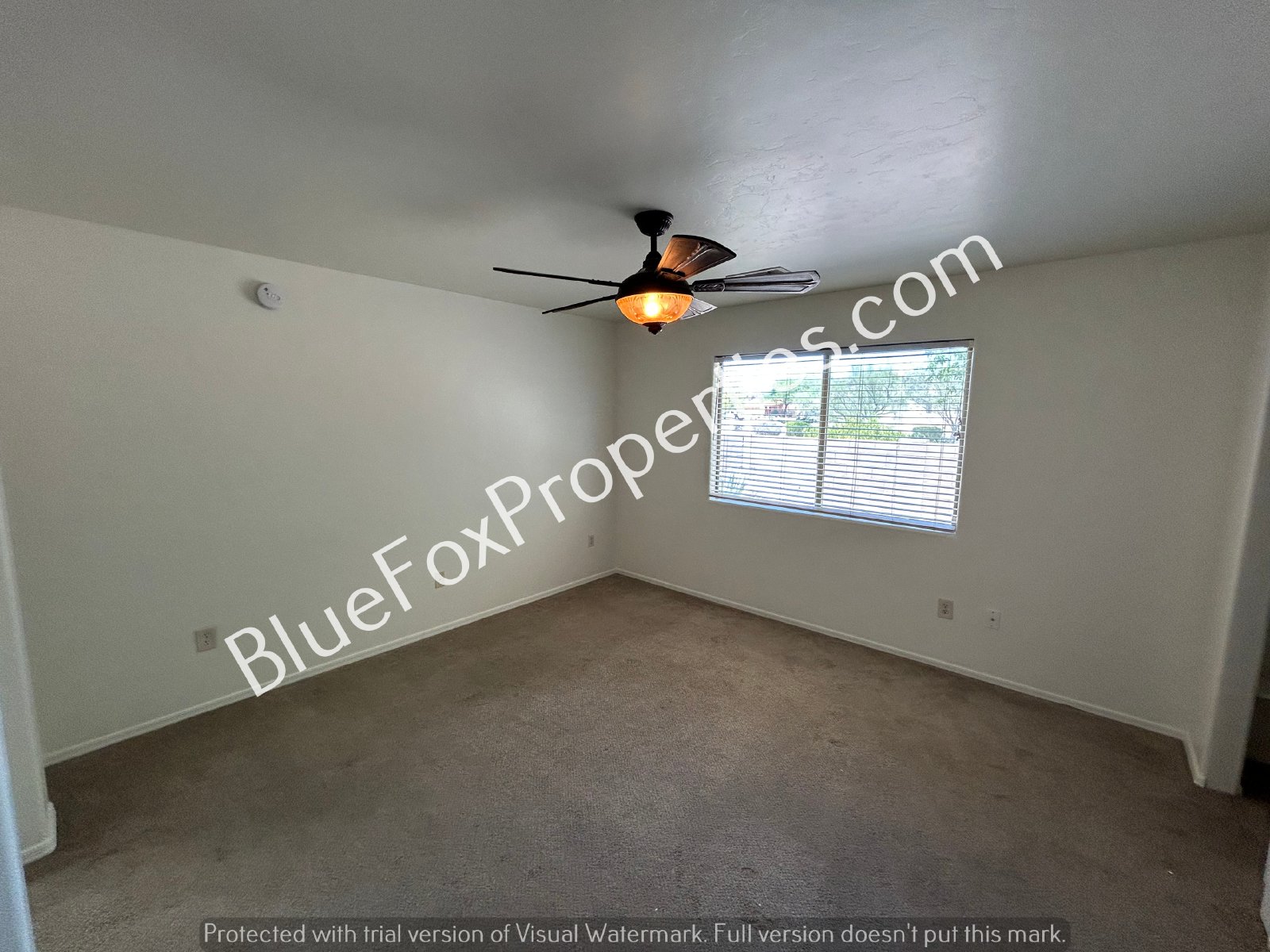 6861 S. Camino De Azar property image