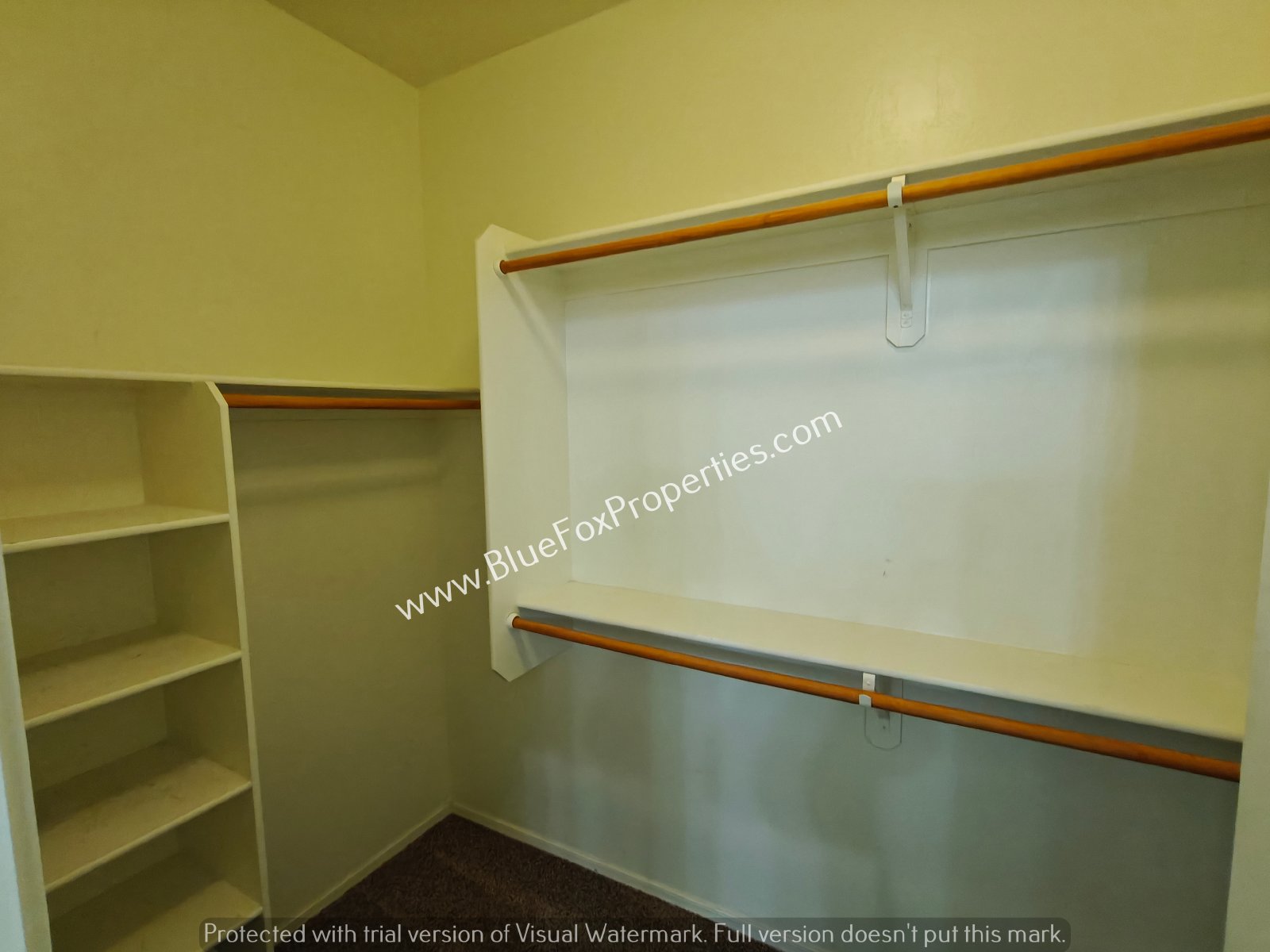 8924 E Abrams Loop property image