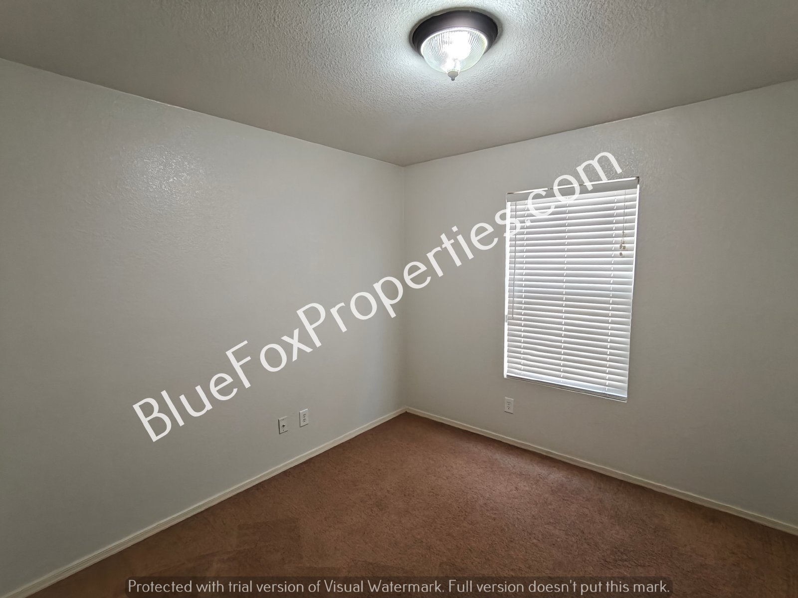 6116 S Earp Wash Ln property image