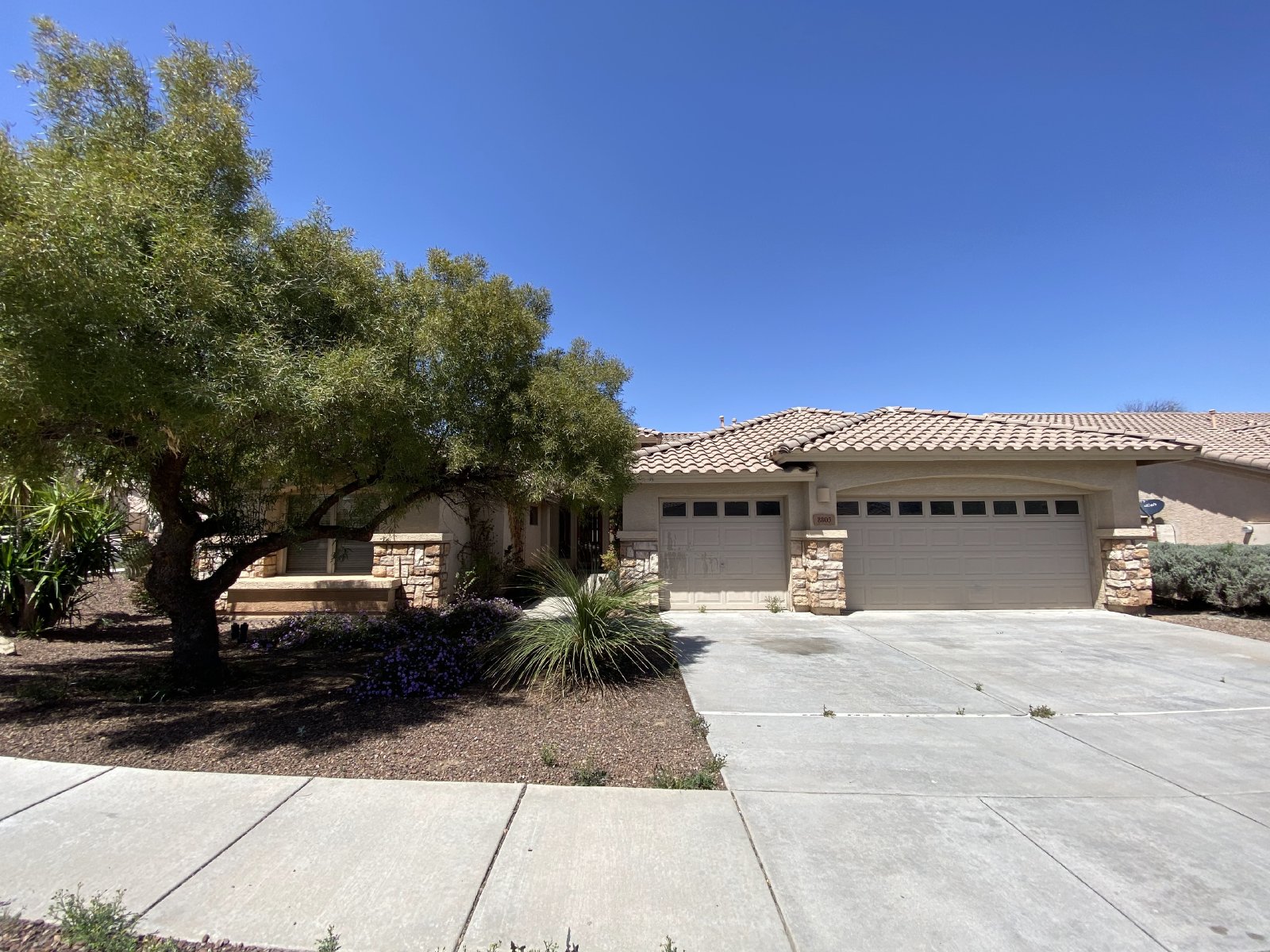 8803 N Yellow Moon Dr Tucson, AZ 857438505 Blue Fox Properties