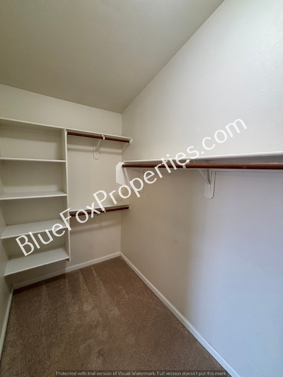 2854 N Ramie Pl property image