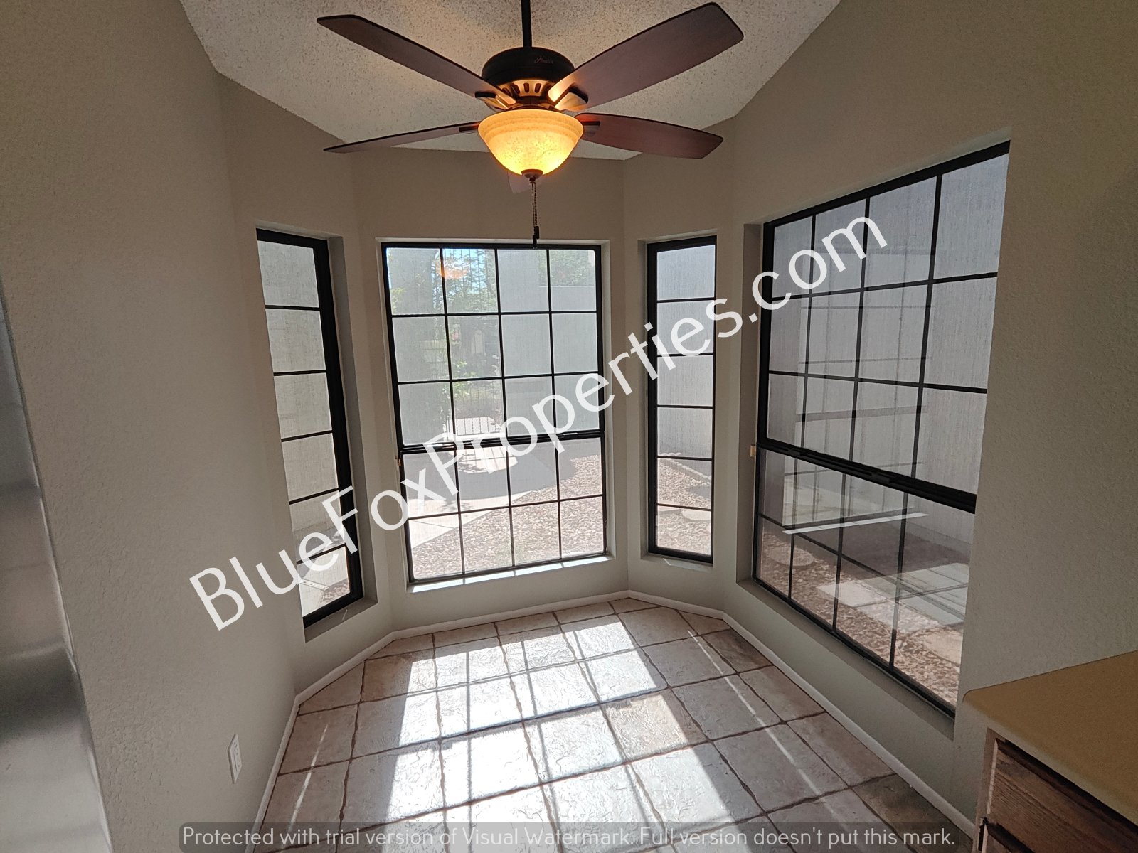 8679 N Auriga Way property image