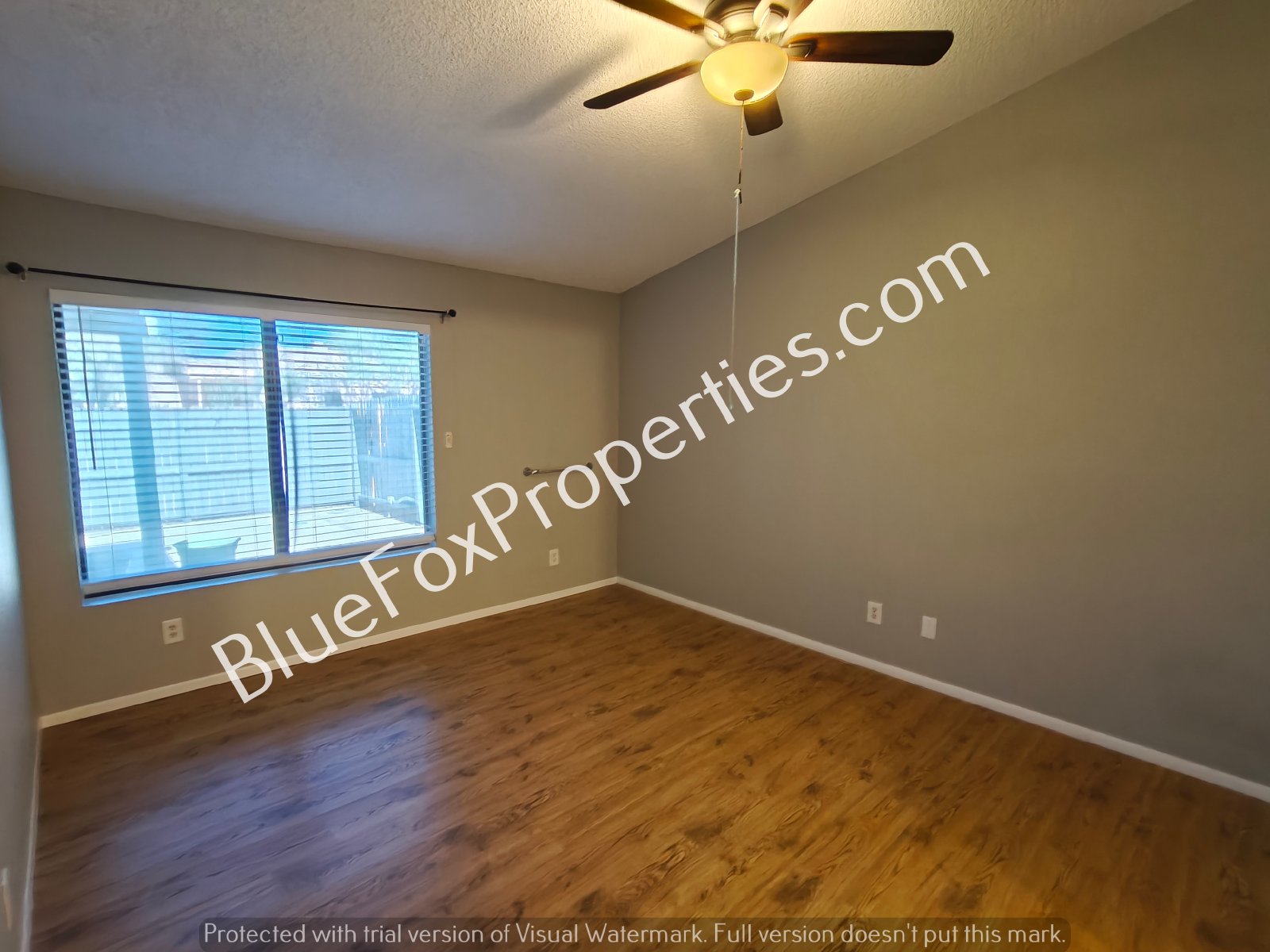 8679 N Auriga Way property image