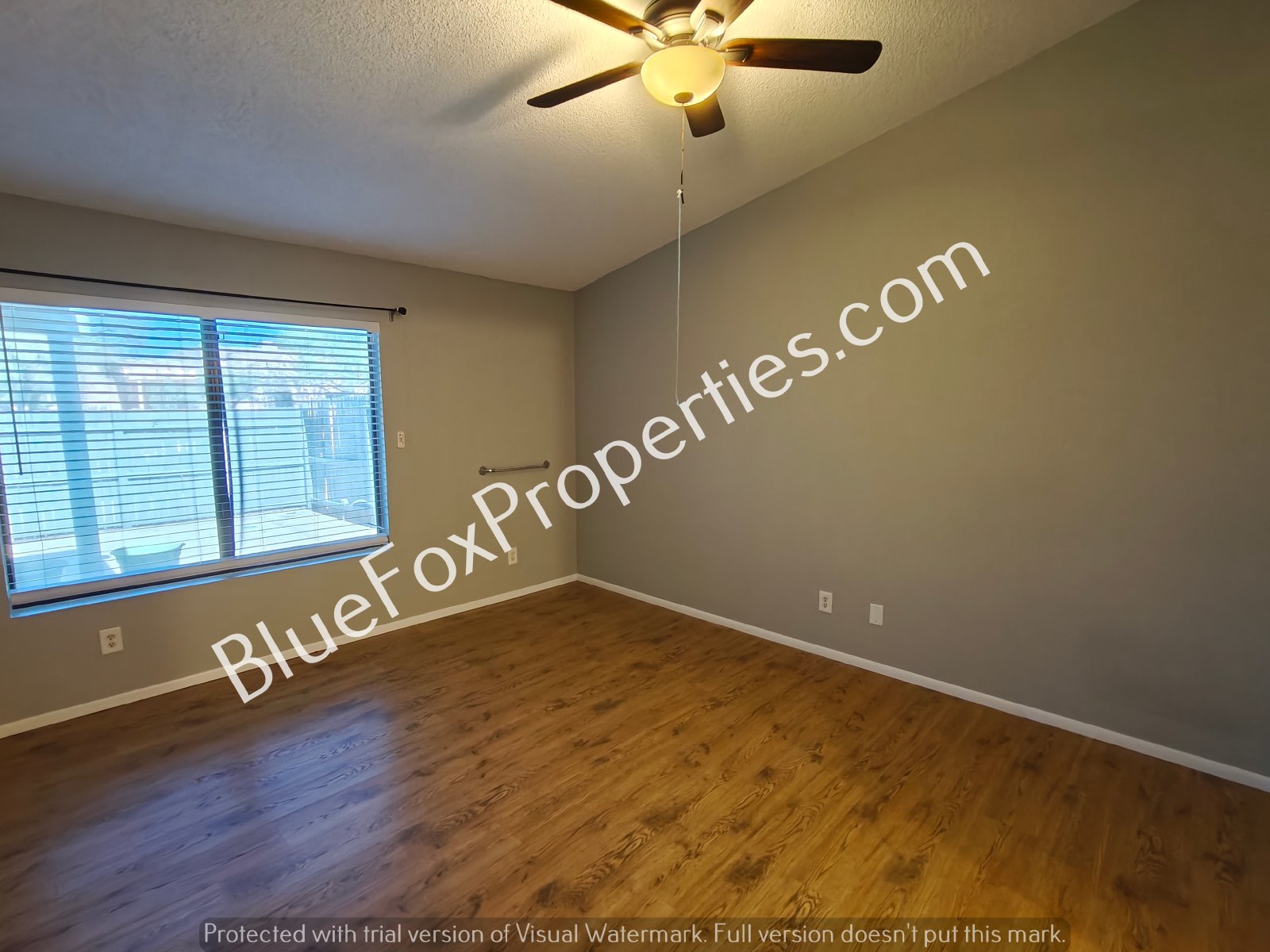 8679 N Auriga Way property image