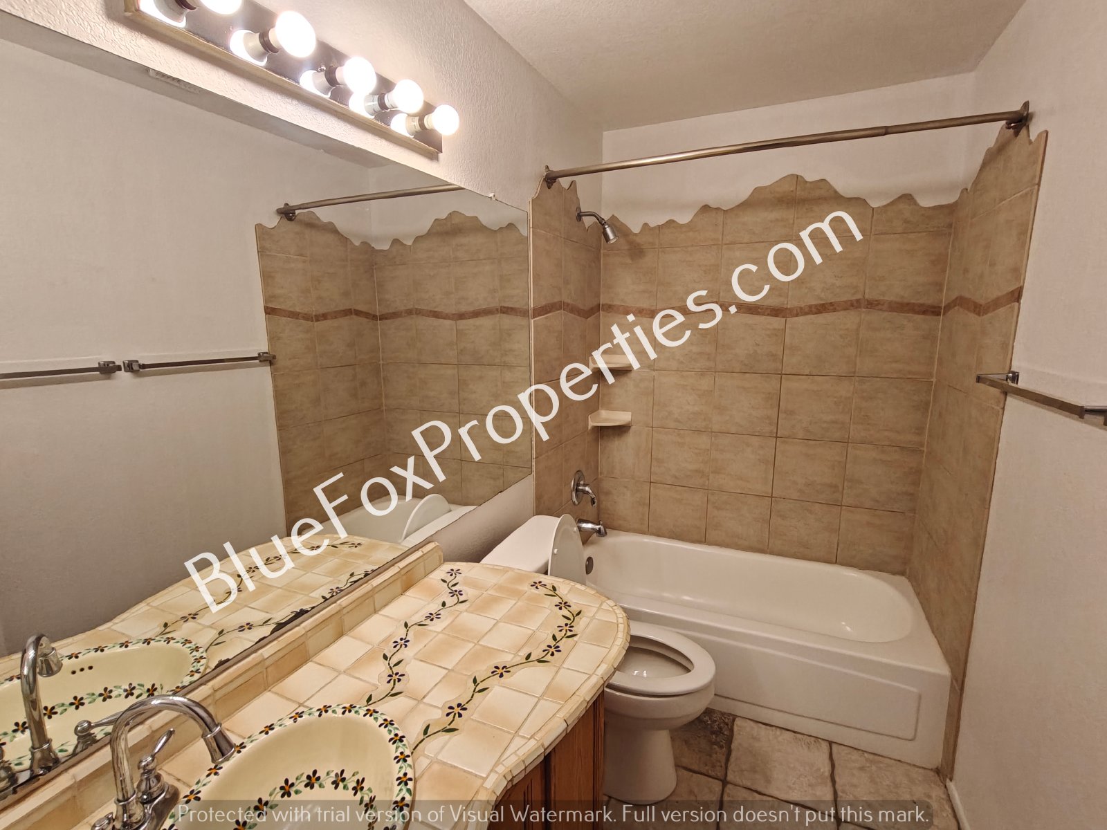 8679 N Auriga Way property image