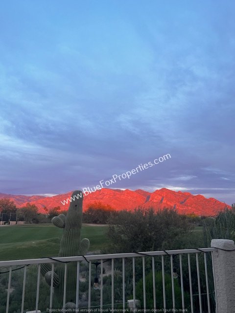 10706 N Sand Canyon Pl property image