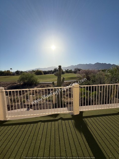 10706 N Sand Canyon Pl property image