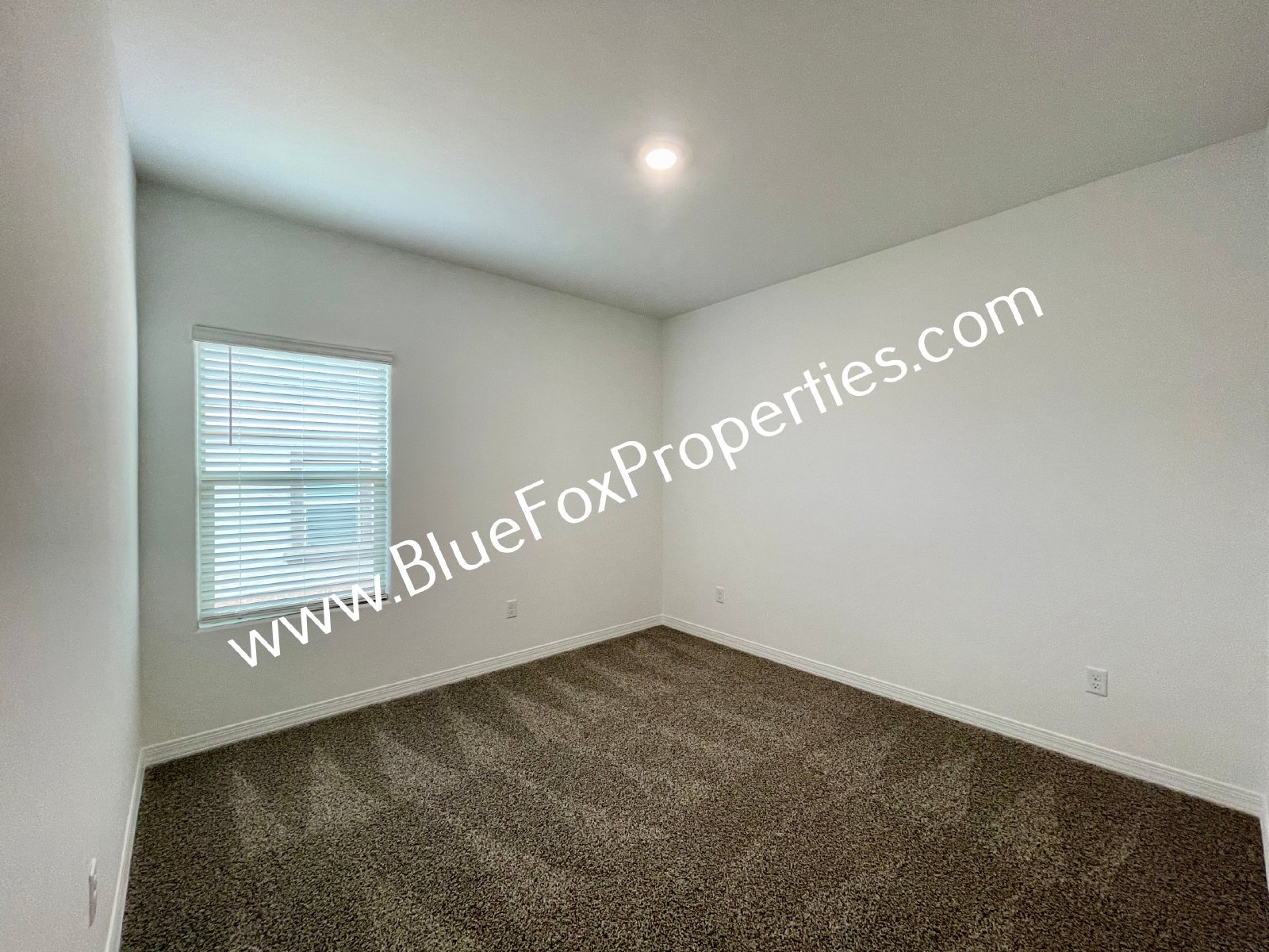 5542 W Coyote Star Rd property image