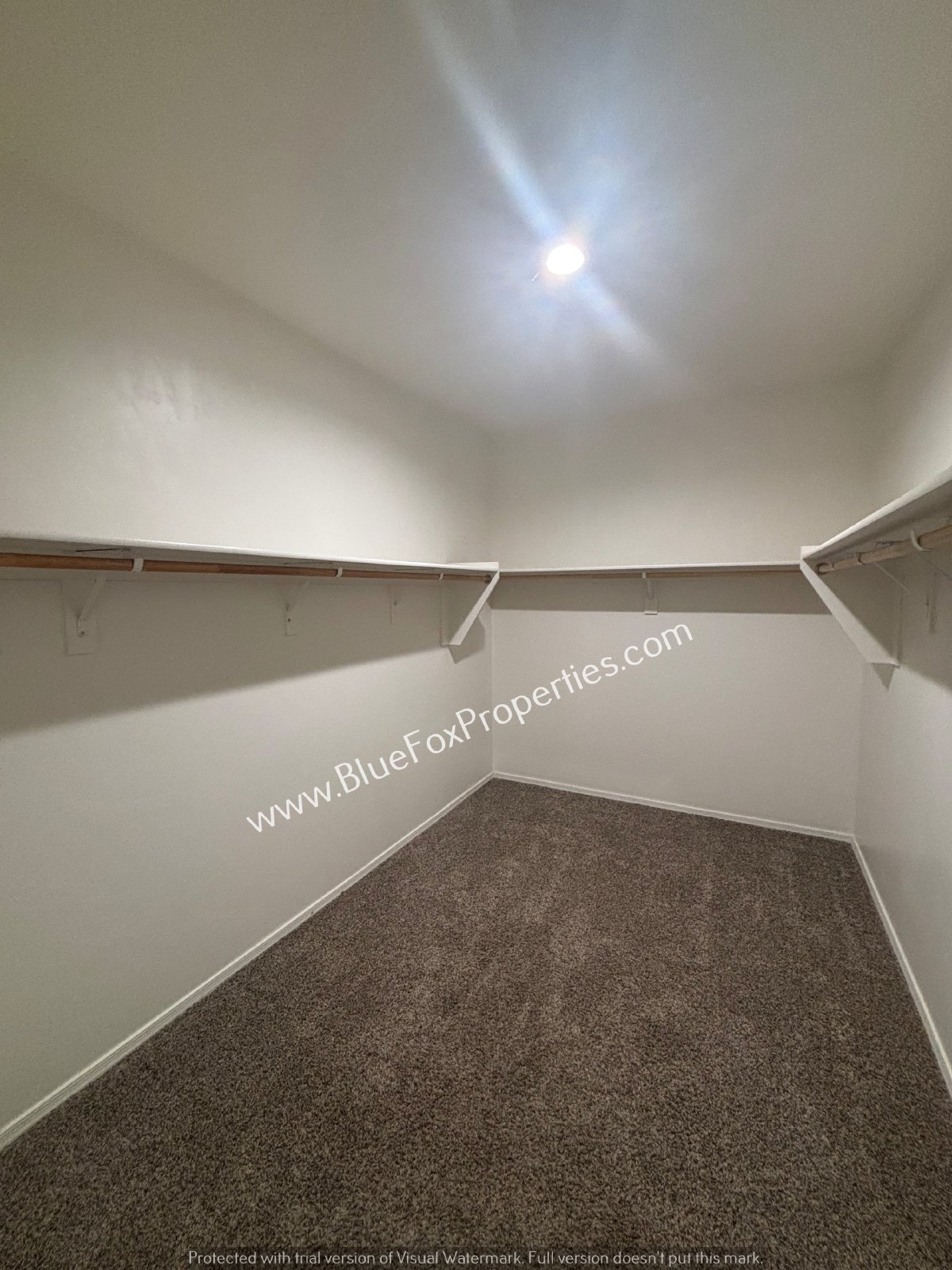 9292 W Creosote Rain Dr property image
