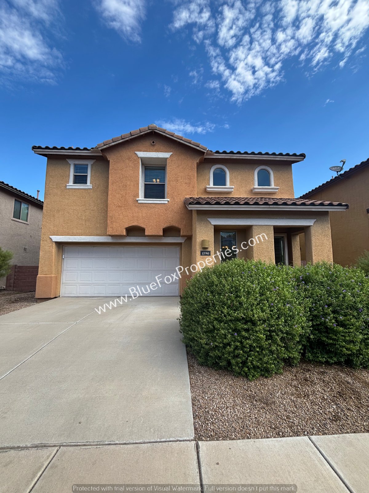 1590 W Blue Horizon St property image
