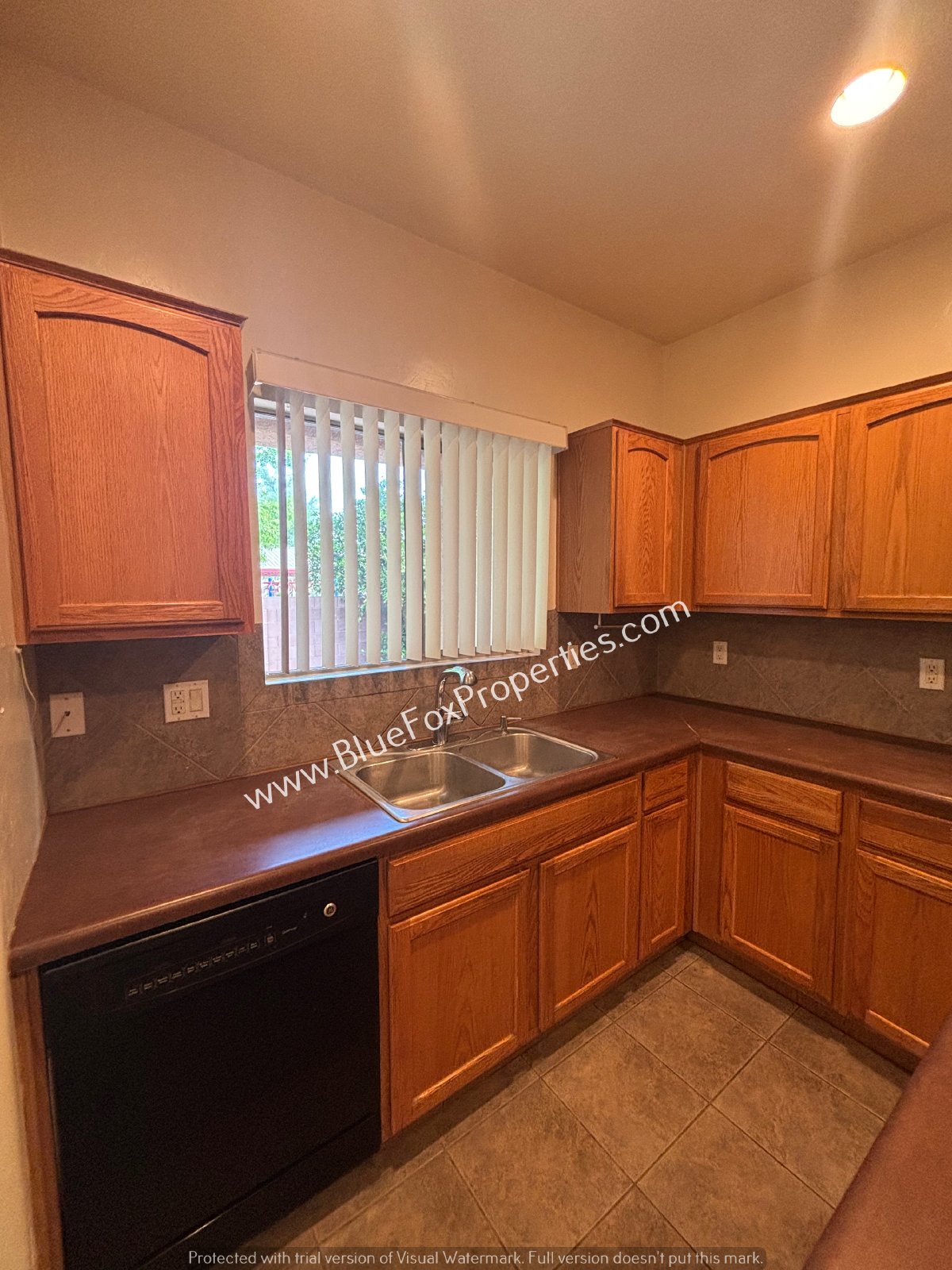 1590 W Blue Horizon St property image