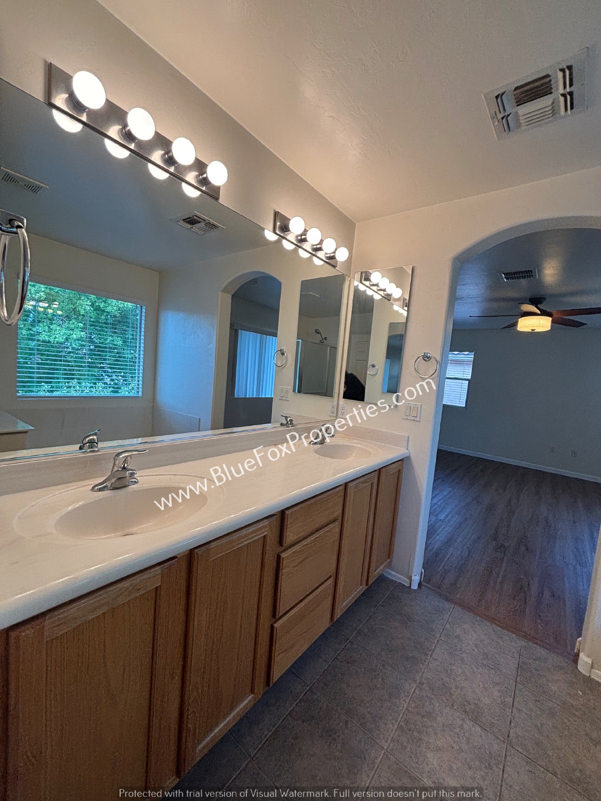 1590 W Blue Horizon St property image