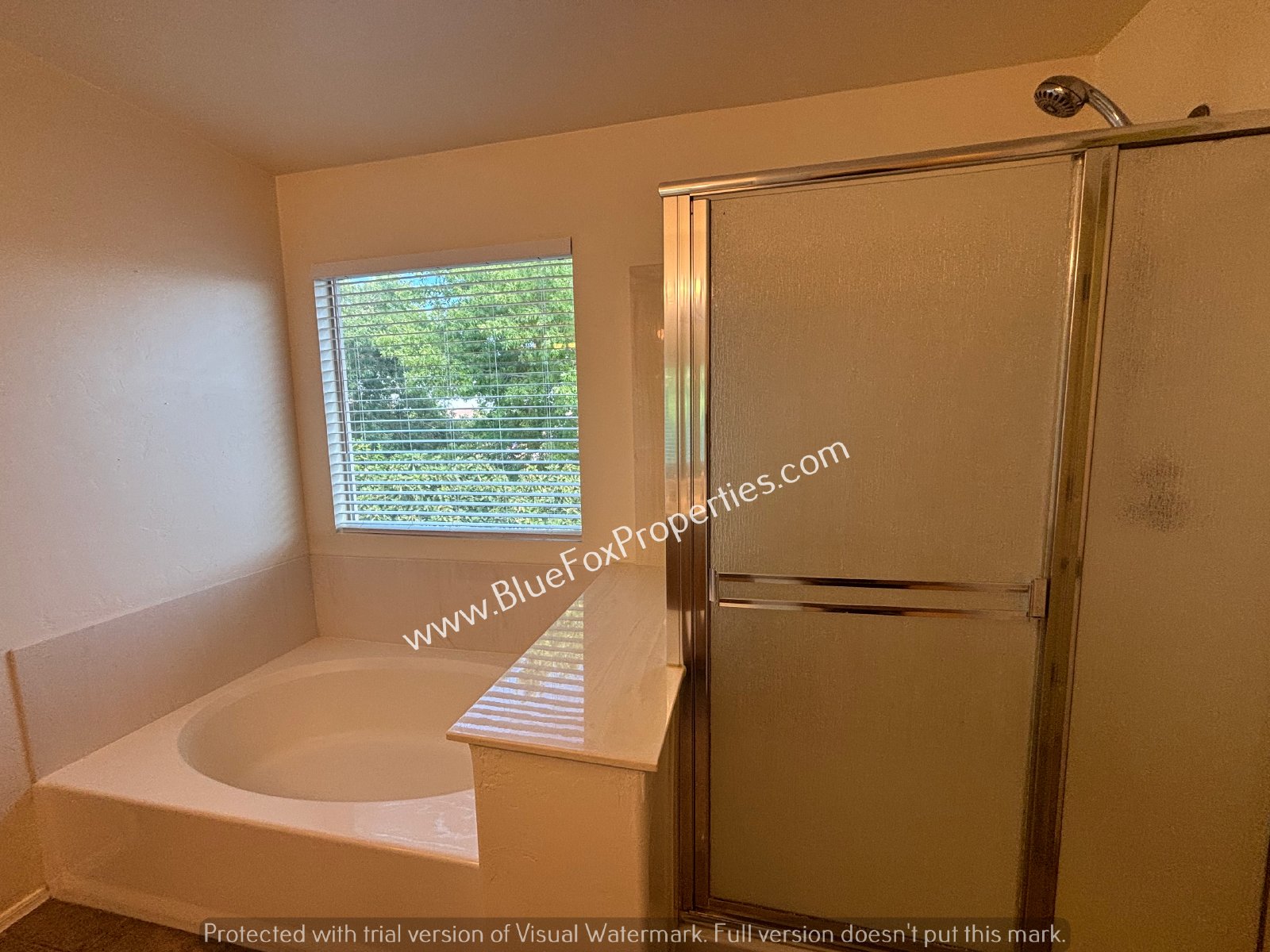 1590 W Blue Horizon St property image