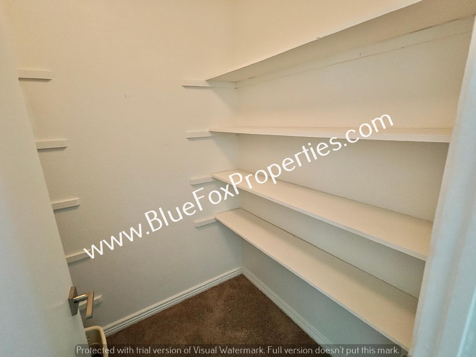 3117 E Oasis De Palmeras property image