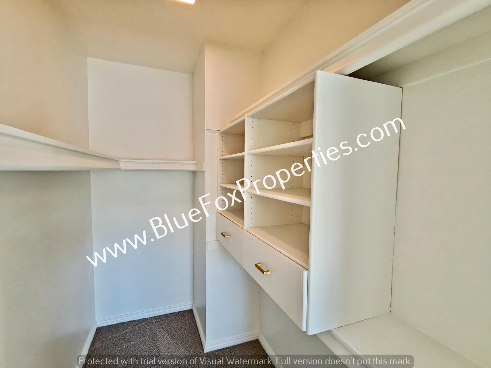 3117 E Oasis De Palmeras property image