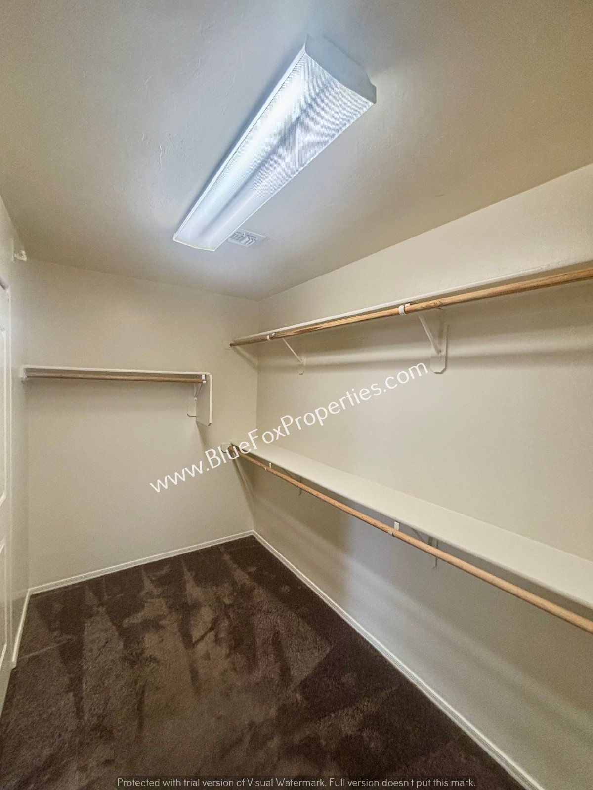 10593 E Avalon Park Street property image