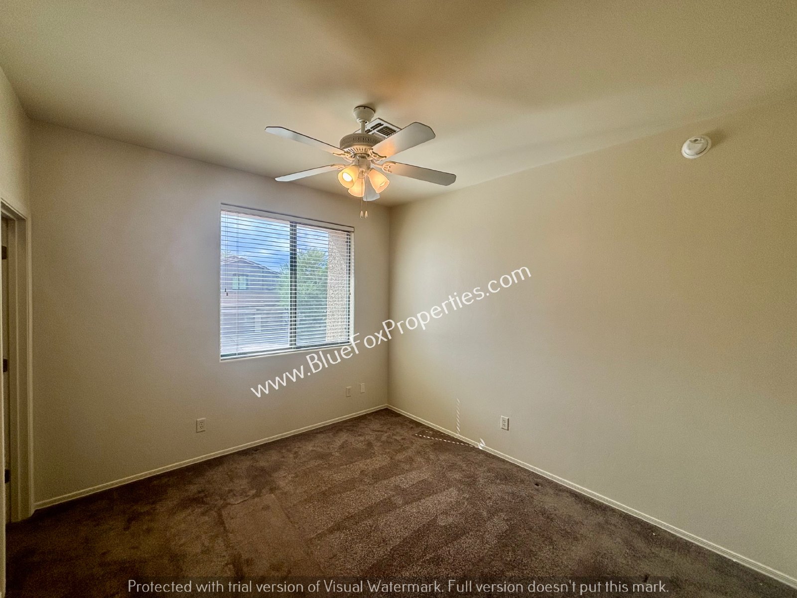 10593 E Avalon Park Street property image