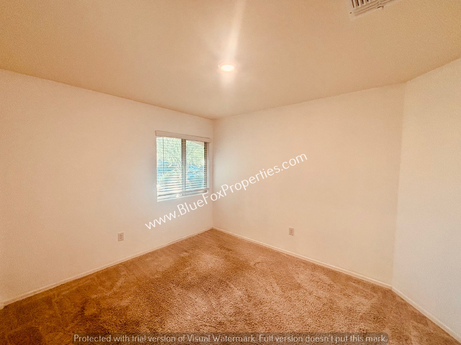 12867 N Peony Drive property image