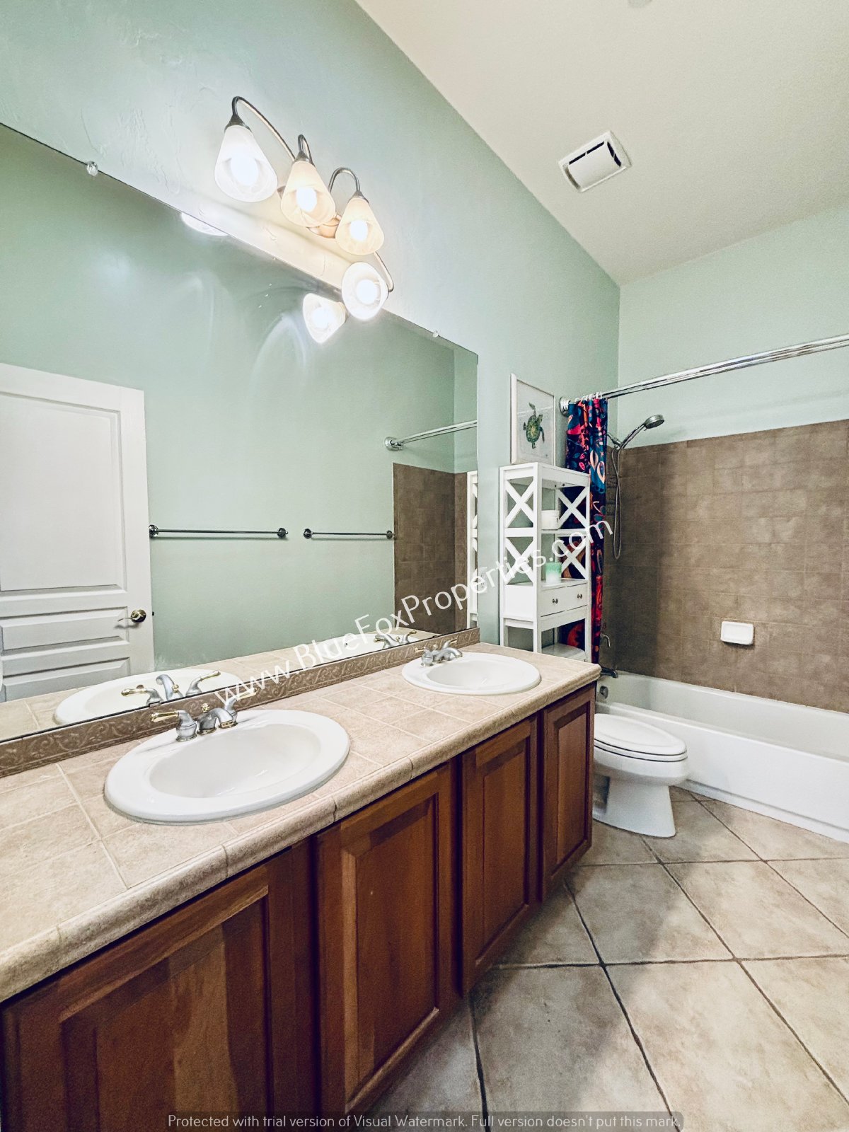 732 W Burntwater Drive property image