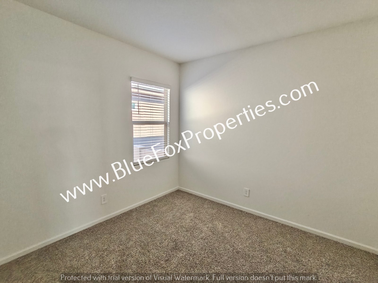 6805 E Paseo Don Octavio property image