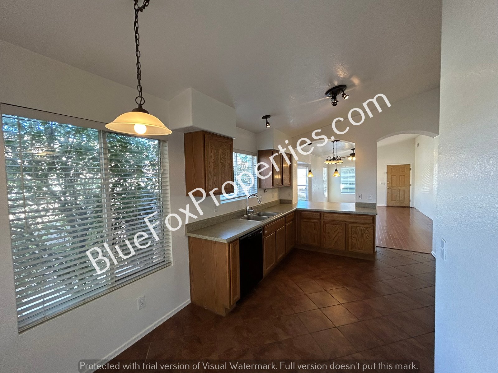 11903 N Cassiopeia Drive property image
