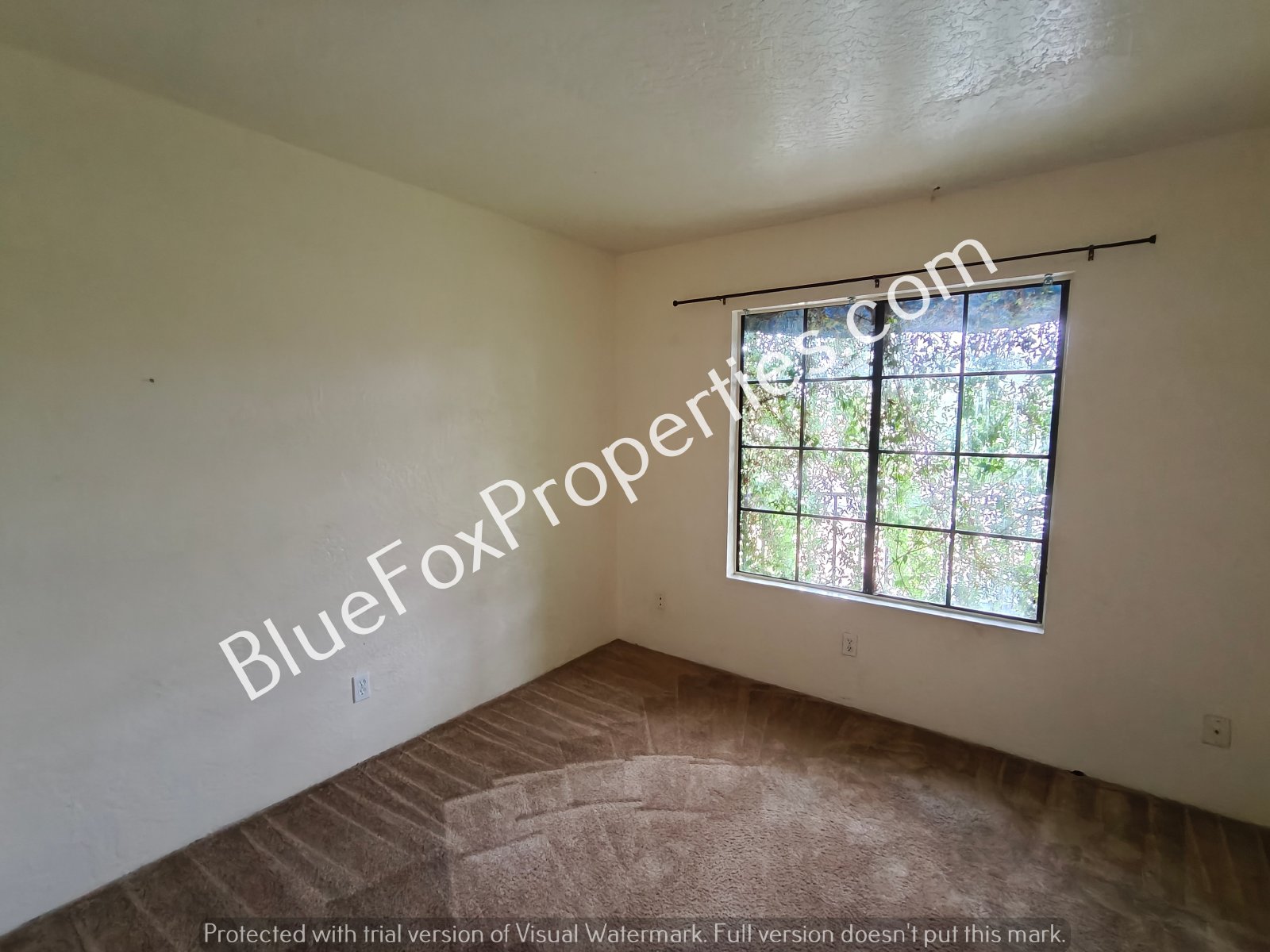 254 E Pastime Road property image