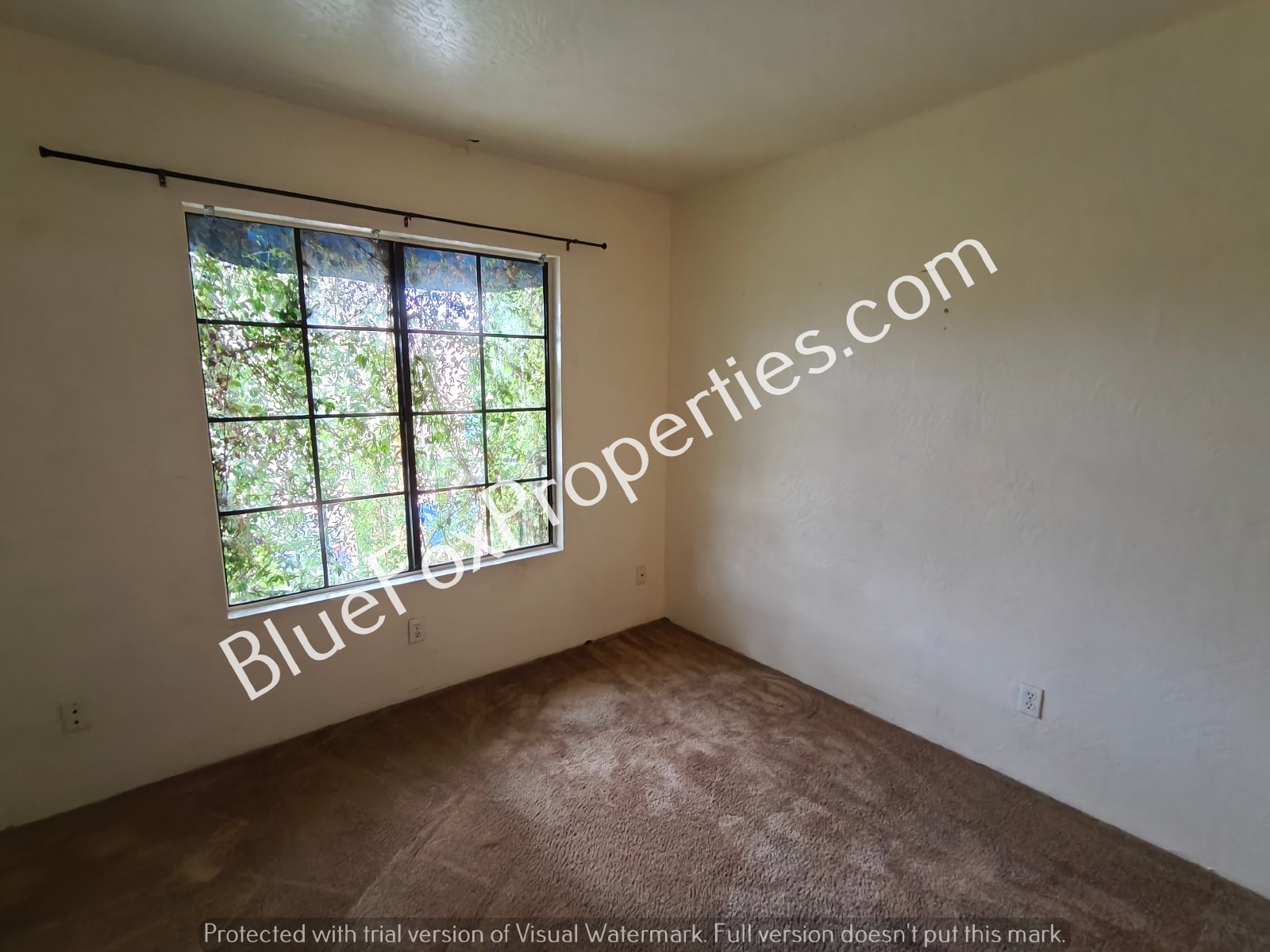 254 E Pastime Road property image
