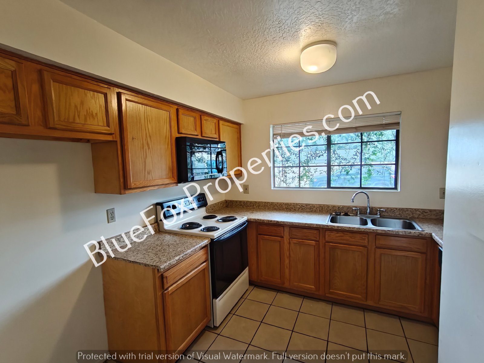 254 E Pastime Road property image