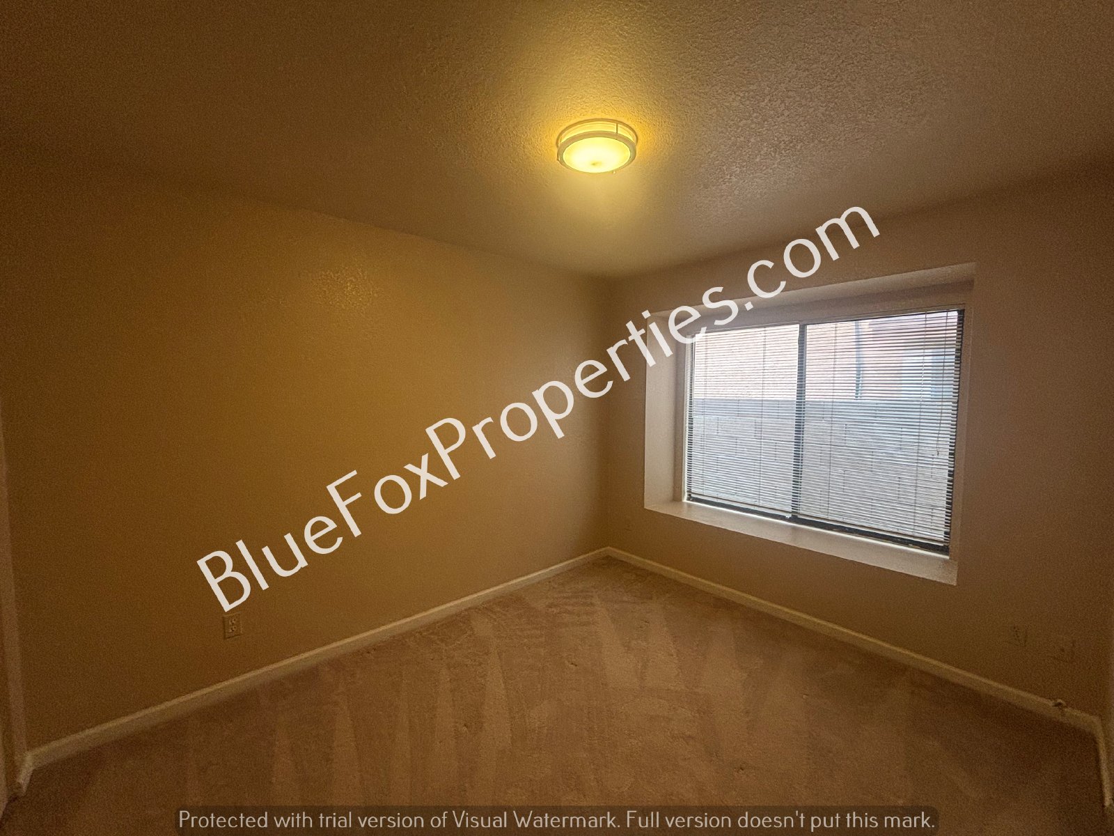 9810 E Amaroso Lane property image