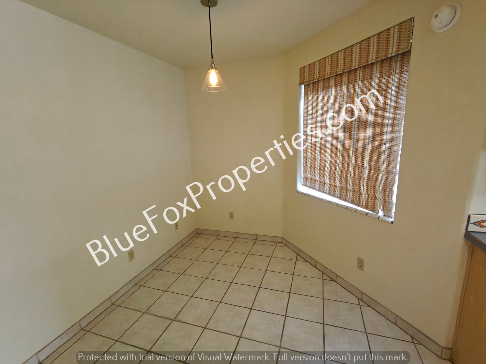 1601 W Chimayo Place property image