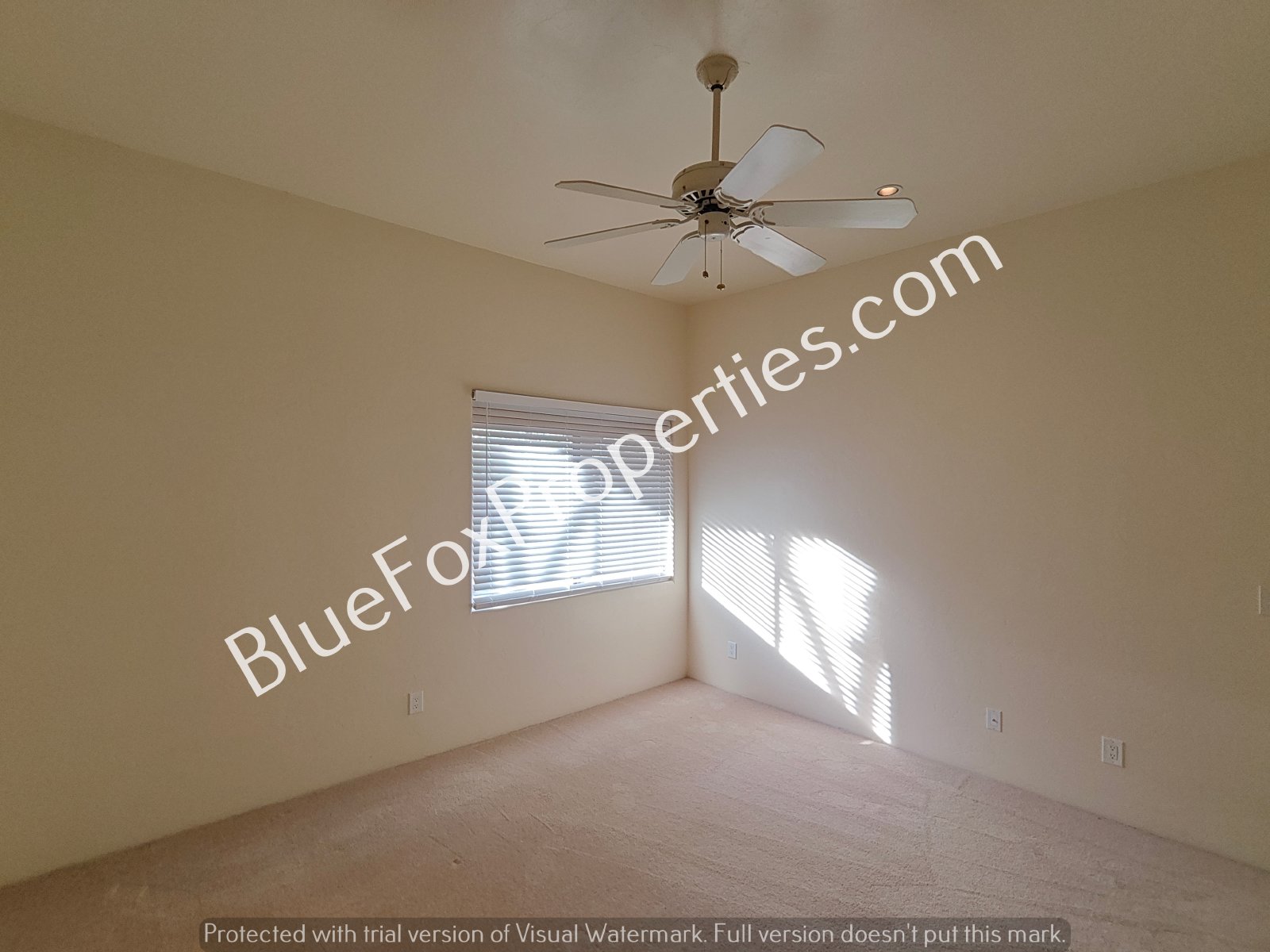 1601 W Chimayo Place property image