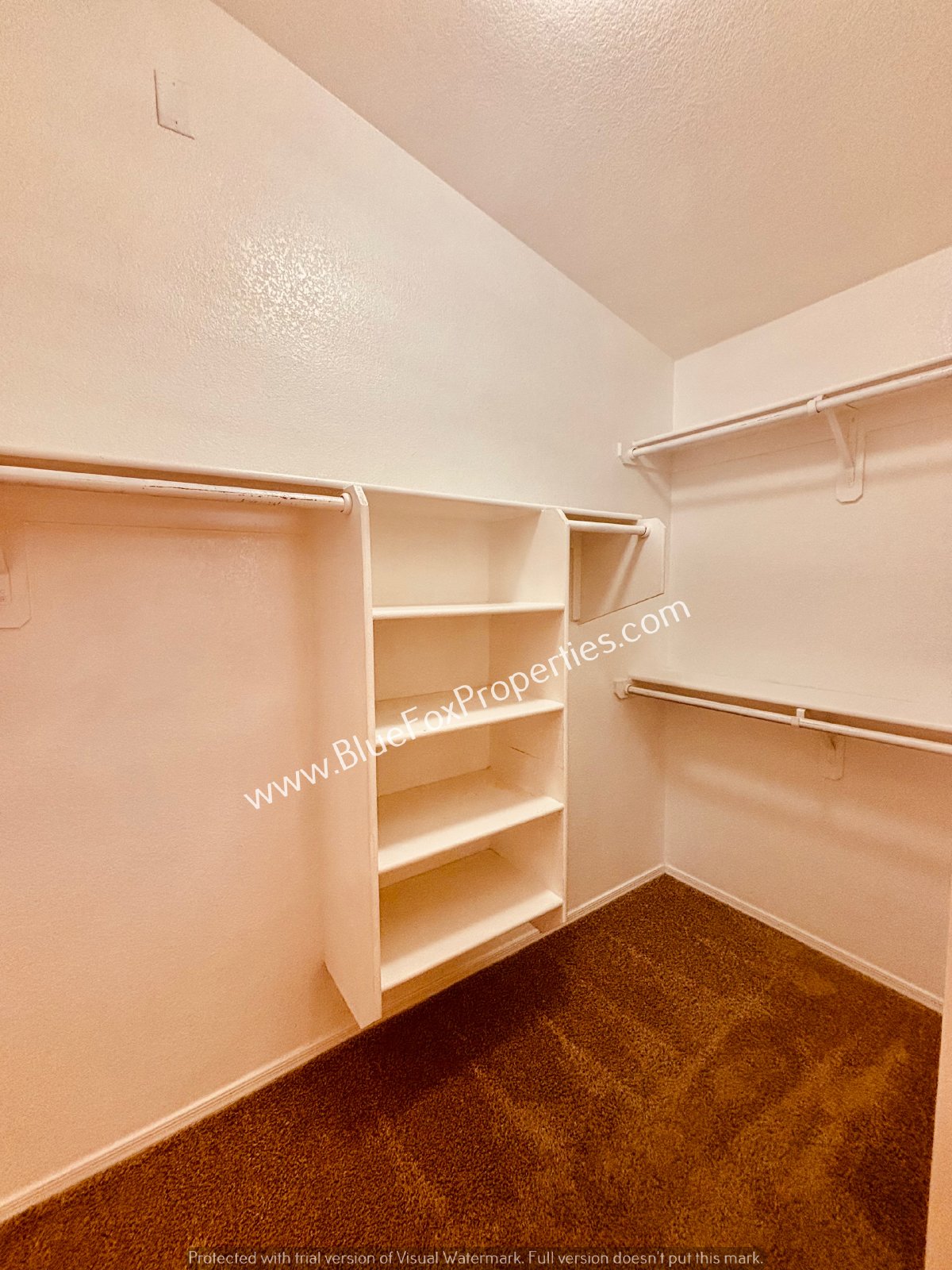 4347 East Mesquite Desert Trail property image