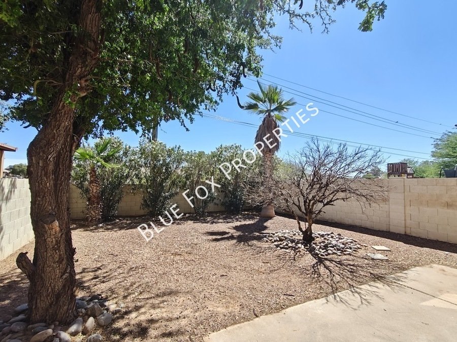 3049 W Avenida Destino property image
