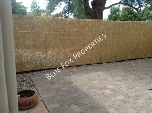 1 bed/1 bath home built in 1926 with modern charm property image