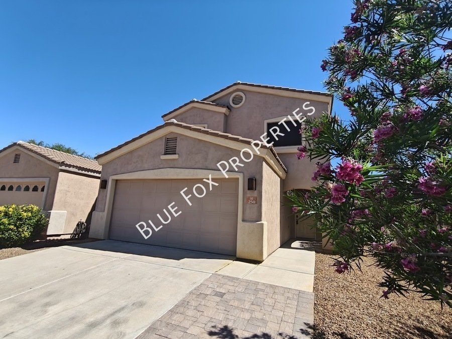 250 E Calle Puente Azul property image