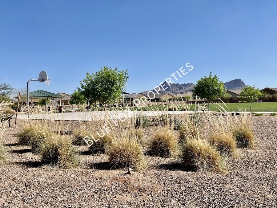 9225 W. Trotting Wolf Trail property image